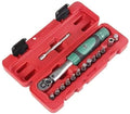 LFDHSF Screwdriver Set, 15 in 1 2-20Nm Torque Wrench Repair Tools Set for Bicycle Household Universal Hand Tools