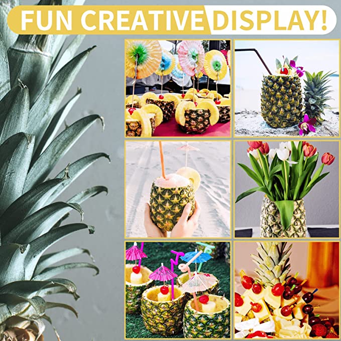 Pineapple Corer, [Upgraded, Reinforced, Thicker Blade] Newness Premium Pineapple Corer Remover