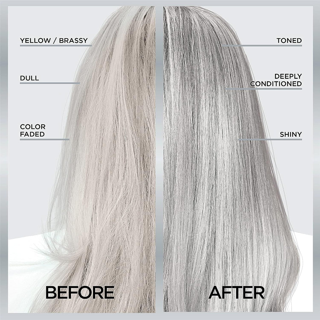L’Oréal Paris Le Color Gloss One Step In-Shower Toning Hair Gloss, Neutralizes Brass, Conditions &amp; Boosts Shine, Silver, 4 Ounce